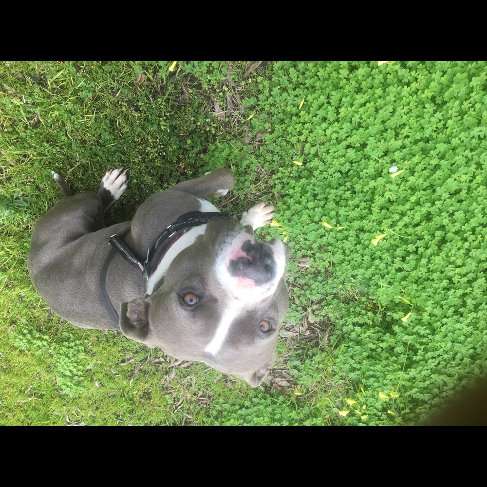 Meet your Posher, Margaret